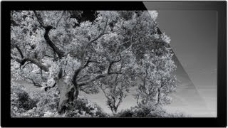 How To Convert Images To Infrared  Infrared Photography [upl. by Miquela500]