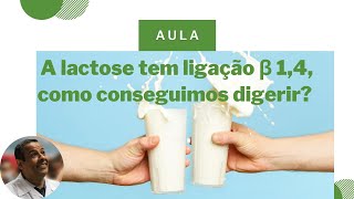 A lactose tem ligação glicosídica β 14 como conseguimos digerir [upl. by Qirat]