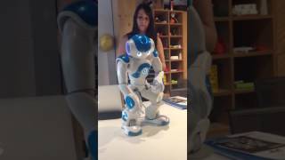 Nao robot introduces himself and blips [upl. by Ruzich]