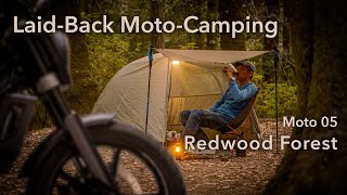 SOLO MOTO CAMPING in Redwood Forest  Svartpilen 701 Seiko Tuna Relaxing [upl. by Roslyn96]