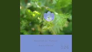 Marginalia 126 [upl. by Melc]