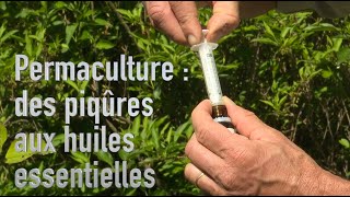 Une injection dhuiles essentielles contre les ravageurs [upl. by Suvart]