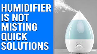 Humidifier is Not Misting – Reasons and Quick Solutions [upl. by Valentin]