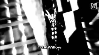 TNA Willow Custom Titantron Theme Song 2014 [upl. by Bolger]