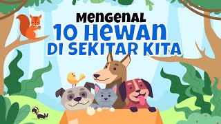 Mengenal 10 Hewan Di Sekitar Kita [upl. by Iarahs]