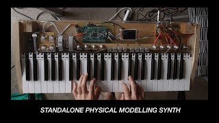 Standalone Physical Modelling Synthesizer  Monash Final Year Project 2018 [upl. by Htur114]