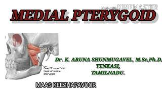 Medial Pterygoid Muscle  Origin  Insertion  Nerve Supply  Action  Animated video [upl. by Stagg]