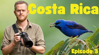 Costa Rica 2022 p3  Wildlife Photography in Uvita amp Drake Bay [upl. by Dijam]