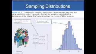 Statistical estimation and Sampling distributions [upl. by Ynned644]