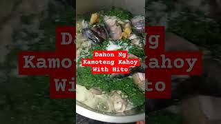 Cooking Cassava Leaves With Catfish Using Firewood  ilonggo recipe trending namit shortsviral [upl. by Emelen20]