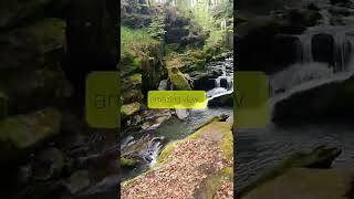 My travel adventure Healey Dell Nature Reserve short beta [upl. by Trace]