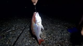 Night fishing at point port royal [upl. by Ekalb]