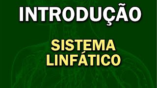 Sistema Linfático Características e funções essenciais [upl. by Ahael751]