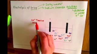 Additional Chemistry C2 Electrolysis of Brine [upl. by Natalie]