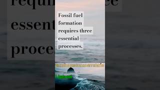 Three essential steps of fossil fuel formation staartest 5thgradescience [upl. by Etiuqal]