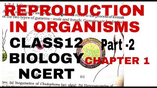 Reproductioninorganisms chapter1CLASS12 NCERT BIOLOGYFORBOARDSNEETANDUPSC UGCBIOLOGY [upl. by Stein]