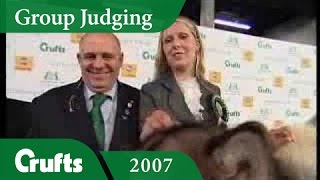 Crufts 2007 Working Group Winner [upl. by Zampardi]