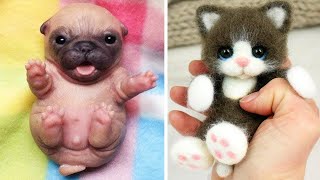 Cute Baby Animals Videos Compilation  Funny and Cute Moment of the Animals 17  Cutest Animals [upl. by Karylin]