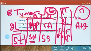 Endometrial Tumors [upl. by Schoenberg]