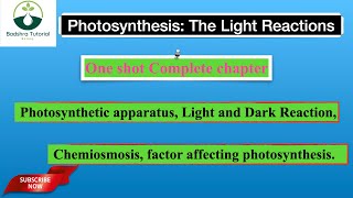 Photosynthesis in higher Plants  Complete in one shot  Neet 2025 [upl. by Halivah]