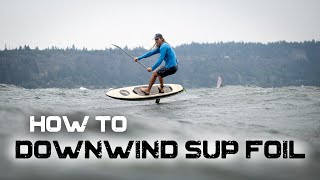 Downwind SUP foiling  How to start [upl. by Aniratac]