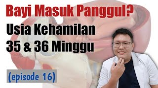 USIA KEHAMILAN 35 DAN 36 MINGGU eps 16  TANYAKAN DOKTER [upl. by Ynnij15]