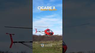 Hermoso CICARE 8 🚁 Visto hoy en boca de la Sierra El helicóptero ligero Argentino 🇦🇷 [upl. by Iznek311]