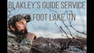 REELFOOT LAKE DUCK HUNTING WITH BLAKLEYS GUIDE SERVICE [upl. by Stimson]