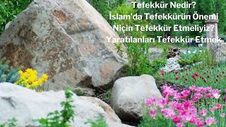 Tefekkür Nedir İslamda Tefekkürün Önemi Niçin Tefekkür [upl. by Yenohtna]