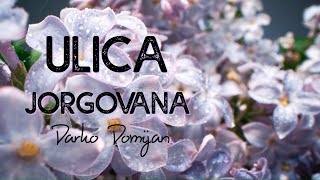 Darko Domijan  Ulica jorgovana Official lyric video [upl. by Risan980]