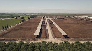 California’s Central Valley Vanden Berge Dairy [upl. by Hezekiah]