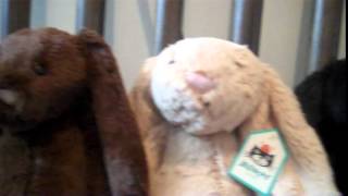 Jellycat Bashful Bunny Stuffed Animals [upl. by Notserk]