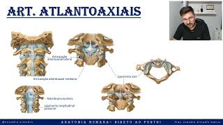 Articulação atlantoaxial  Sistema articular  Anatomia direto ao ponto [upl. by Arvell]