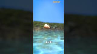 Shoot A Bullet Underwater 🤔shorts part 122 [upl. by Alpheus600]