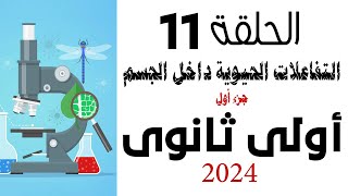 الحلقة 11  تفاعلات الهدم والبناء داخل خلايا الكائن الحى  أحياء اولى ثانوى 2024 [upl. by Adner709]