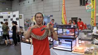 ReptilTV  Folge 33  Asien 2011 [upl. by Matuag]