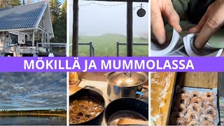 SYYSLOMA ALKOI 🍂 MÖKILLÄ JA MUMMOLASSA ❤️ [upl. by Stalder307]