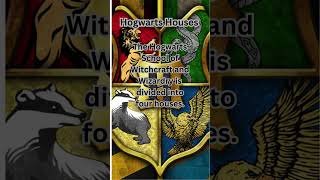 Hogwarts Houses Explained Which One Do You Belong To shorts [upl. by Inaluiak724]