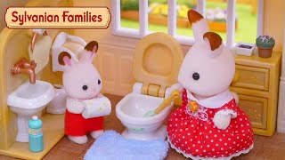 Spring Clean ✨🌸 Toy Play Compilation  Sylvanian Families [upl. by Aldos]