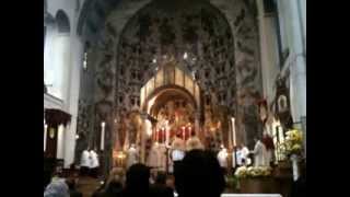 SANCTUS Consecration Pontifical Traditional Latin Mass Cardinal Burke AMSTERDAM FSSP [upl. by Sperling905]