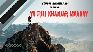 Ya Tuli Khanjar Maaray  Yousuf Naqshbandi  Sufi [upl. by Wilow939]