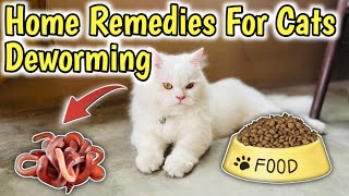 How to Deworm a cat with Home Remedies  Home Remedies for Deworming Cats  Cat Worms Treatment [upl. by Ydnis]