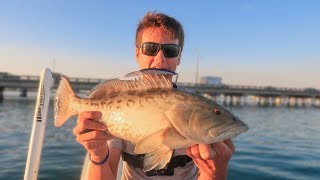 BIG LURES for INSHORE GROUPER [upl. by Nwahsyd909]