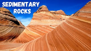 Three types of Sedimentary Rocks [upl. by Airamat819]