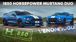 Sensational Shelby Mustangs by Hennessey  Supercharged H850 GT350R and Venom 1000 GT500 [upl. by Delahk]