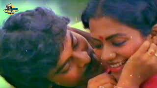 Manthri Gari Viyyankudu Back to back songs  Poornima Jayaram  Ilayaraja  Chiranjeevi Hit songs [upl. by Chaunce314]