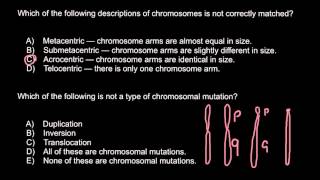 Chromosomes Metacentric Submetacentric Acrocentric Telocentric [upl. by Ykcaj]