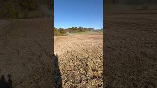 2024 Soybeans Harvest video coming soon [upl. by Nath]