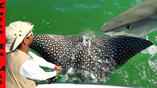 RARE GIANT STINGRAYS and SHARKS KILL our FISHING TRIP [upl. by Novelia331]