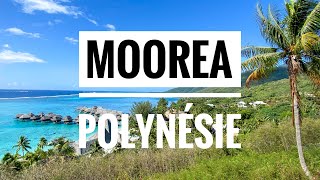 MOOREA  POLYNÉSIE FRANÇAISE [upl. by Christensen]